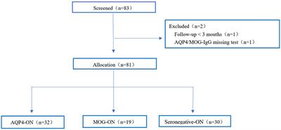 Glial autoantibody prevalence in Chinese optic neuritis with onset after age 45: clinical factors for diagnosis